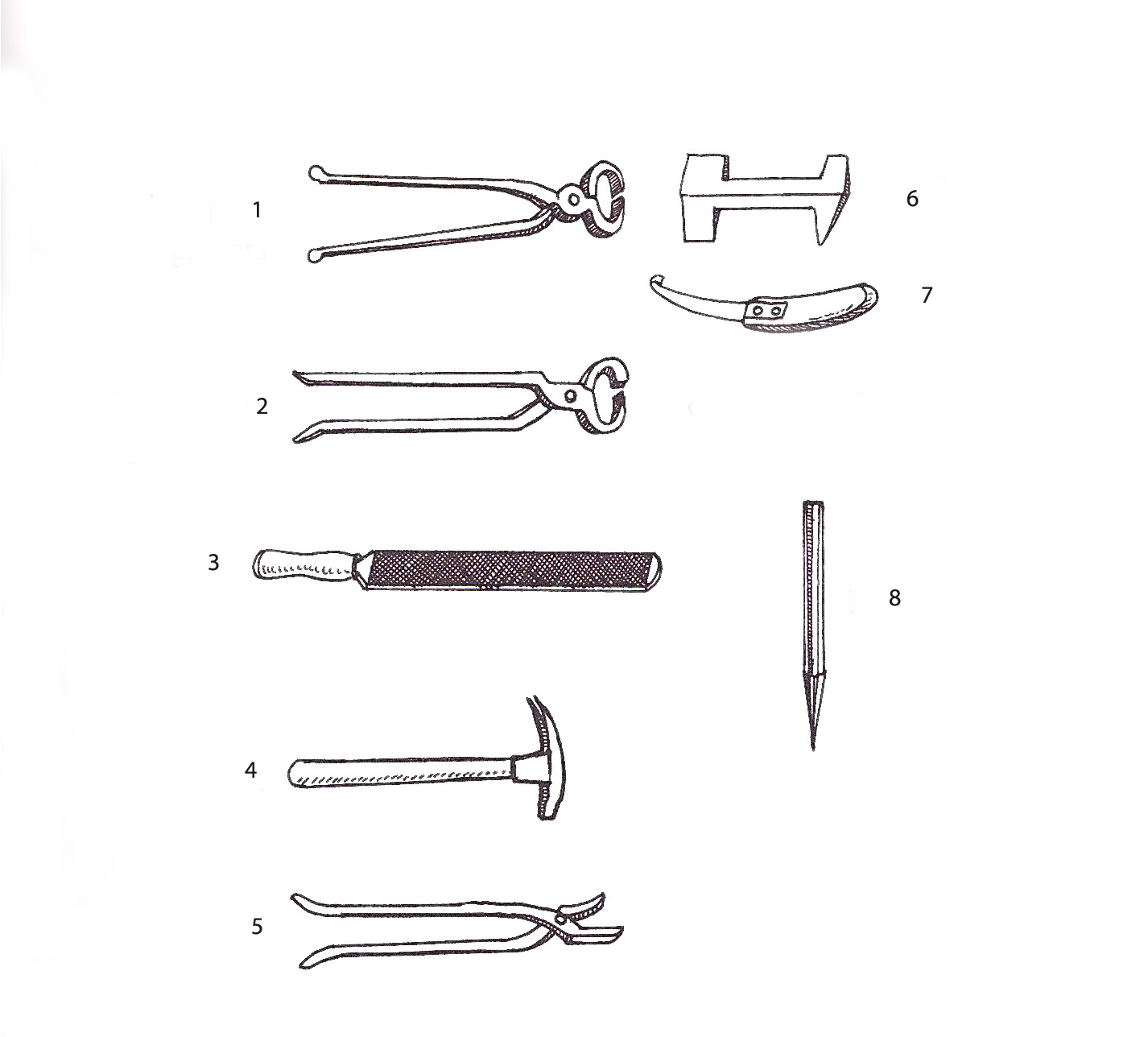 Are You Smarter than a Pony Clubber? Eventing Nation ThreeDay